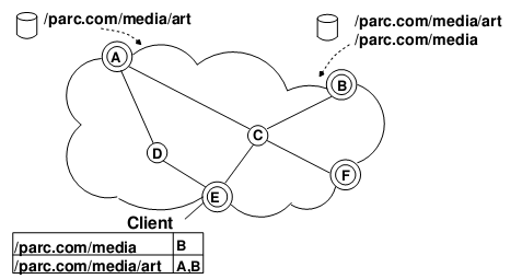 ccn4