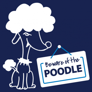 poodle
