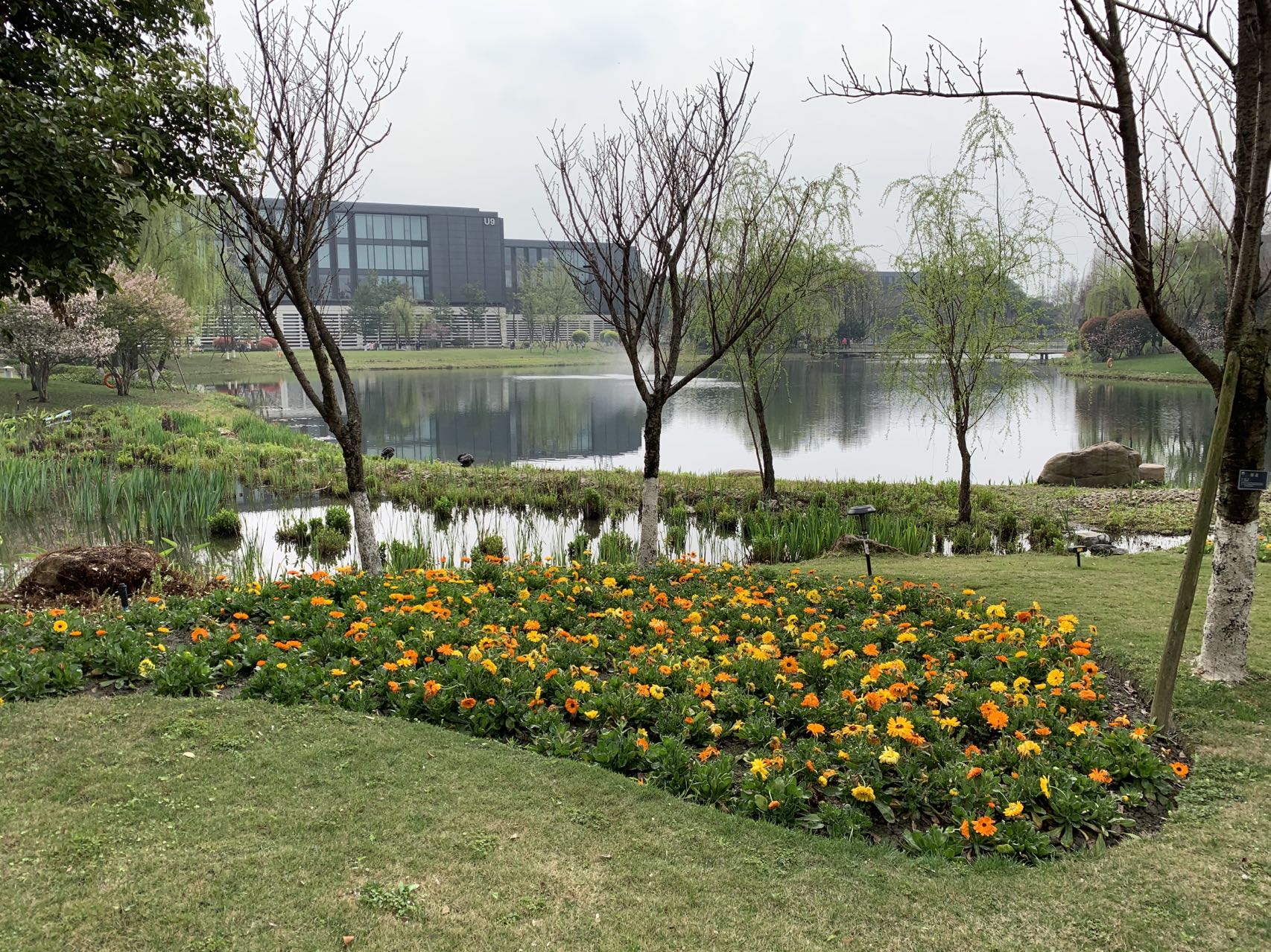 Huawei Chengdu Research Institute, late winter and early spring